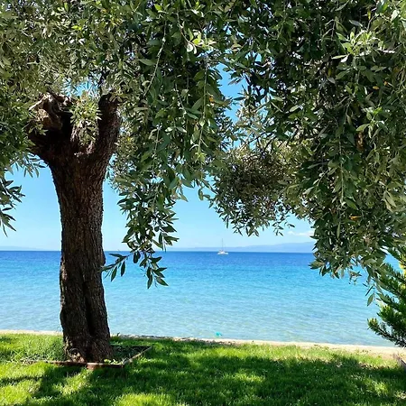 Manolis Thassos Apartmán Skála Kallirákhis