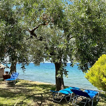 Manolis Studios Thassos Skala Kallirakhis